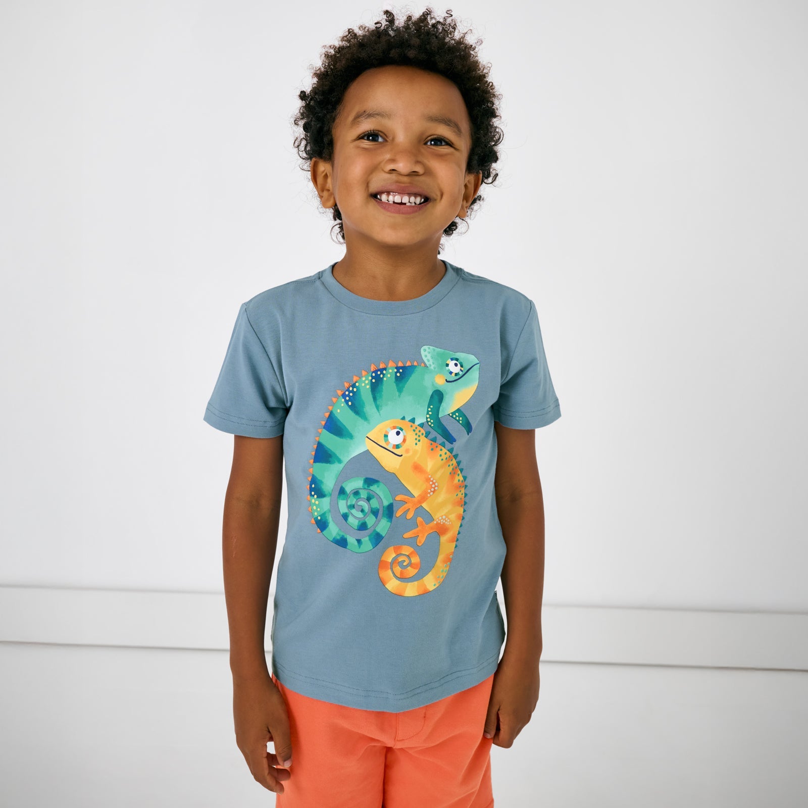 Chameleon Relaxed Tee