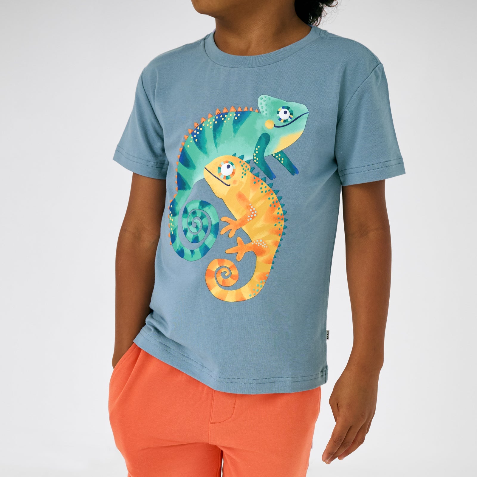 Chameleon Relaxed Tee