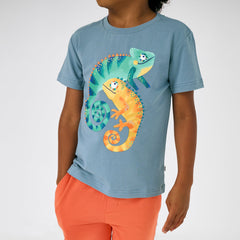 Chameleon Relaxed Tee