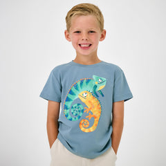 Chameleon Relaxed Tee