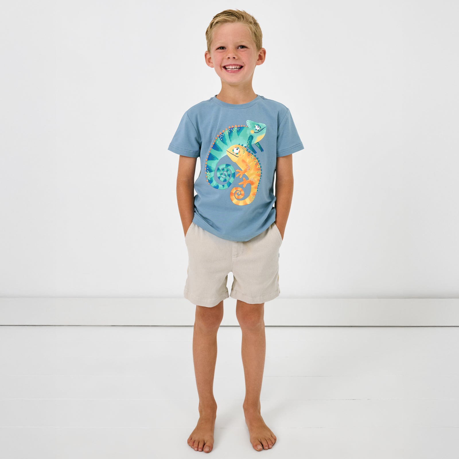 Chameleon Relaxed Tee