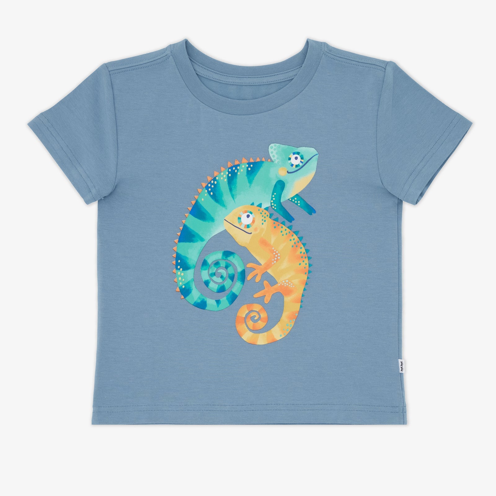 Chameleon Relaxed Tee