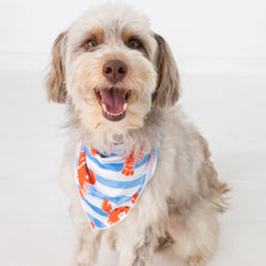 Crustacean Crew Pet Bandana