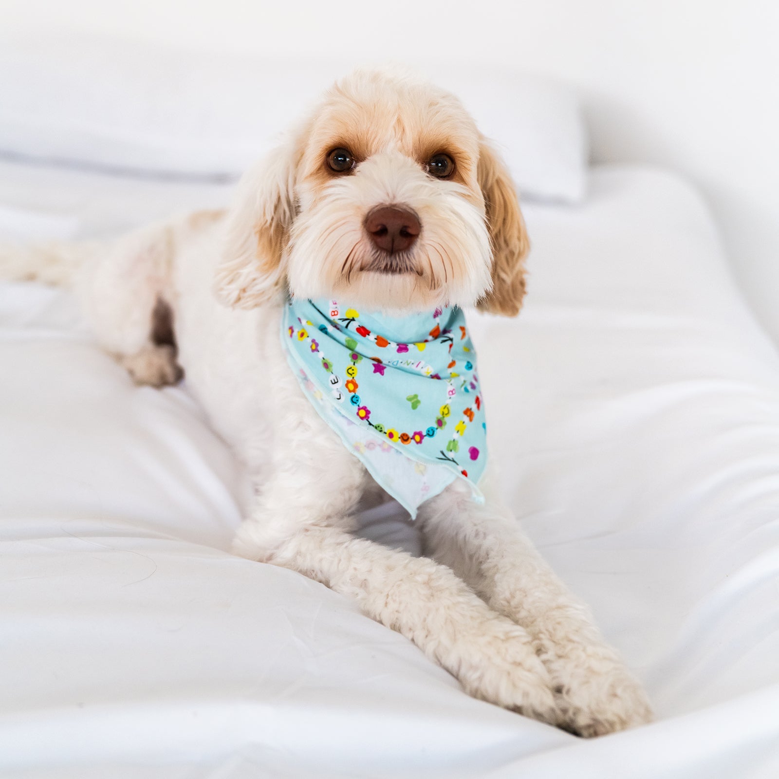 Friends Forever Pet Bandana